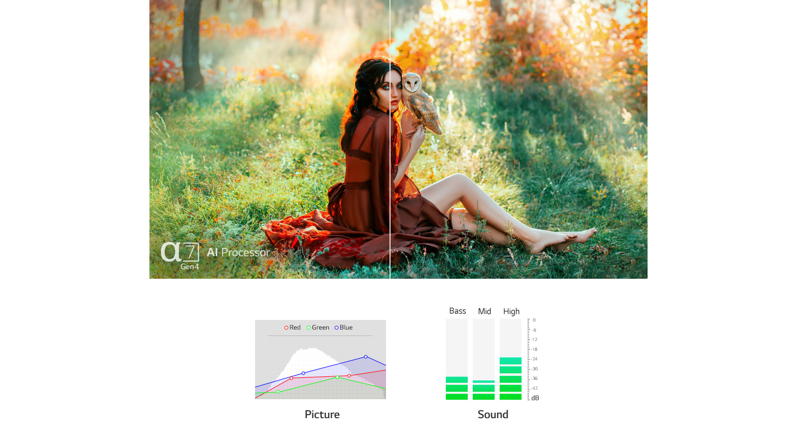 Deux scènes automatiquement optimisées à la fois au niveau du son et de l’image par le processeur α7 Gen4 AI  (lire la vidéo) 